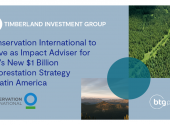 Conservation International to Serve As Impact Adviser for TIG’S New $1 Billion Reforestation Strategy In Latin America