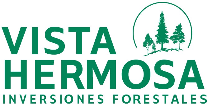 Consortium led by BTG Pactual Timberland Investment Group Launches Vista Hermosa